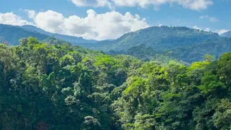 How Road-Trippers Capture Agumbe Monsoon Rainforests On Scenic Drives From Bangalore