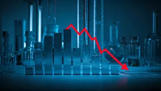 Cipla's Profit Plunge: A Deep Dive