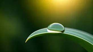 Your Guide to Lightweight Moisturisers: Hydration Without the Heavy Feel