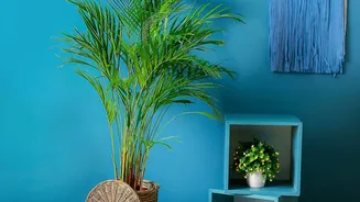 The Monsoon Decor Shift Brings Humidity-Ready Materials Into The Style Conversation