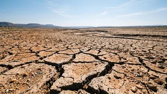 Based On Expected Inflows: Pakistan's IRSA Approves A 22% Water-Shortage Estimate For Punjab And Sindh