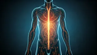 Beyond Calorie Counting: Unraveling the Complex Science of Obesity