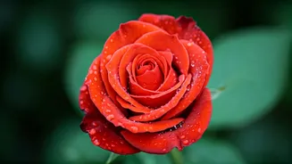 Taurus Horoscope: November 6, 2025 - Love & Life