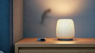 AI Fitness Plans & Smart Sleep Insights Go Mainstream