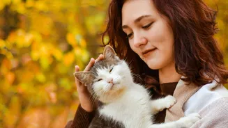 Cor do gato e espiritualidade: descubra o significado místico por trás do seu companheiro