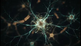 How scientists map new skeleton structure inside brain cells for study