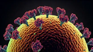 Why You Catch Colds on Vacation: Unveiling the Mystery