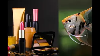 When Fish Waste Became Gold: The Story Of A Village’s Reinvention In West Bengal