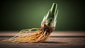 Nagarmotha Oil: The Viral Ayurvedic Secret for Slowing Hair Regrowth