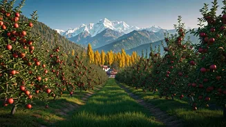 Uttarakhand’s Harsil Has Apple Orchards And Silence