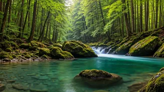 Tirthan Gives Travellers Rivers, Forests And Silence