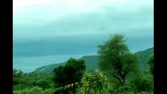 Understanding India's Weather Patterns: A Seasonal Guide