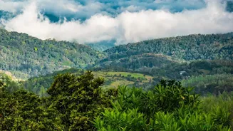 Explore Bhandardara Quiet Waterfalls And Foggy Heights On Short Monsoon Road Trips