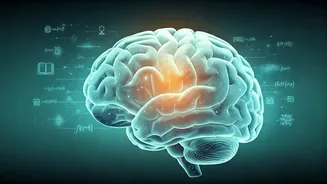 Unlock Your Child's Memory: The 60-Second 'Teach-Back' Study Secret