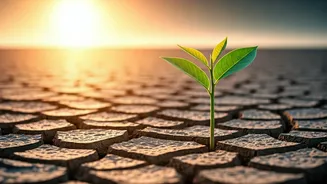 The Illusion of Online Joy vs. Real Happiness: Suniel Shetty's Insight