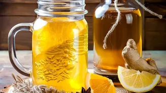 Boost your digestive health by brewing custom kombucha batches with SCOBY tea starters