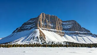 Related Stories banner