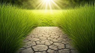 Forgiveness: The Key to Inner Peace and Better Relationships