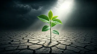 Navigating Young Minds: Mental Health Amidst COVID-19's Shadow