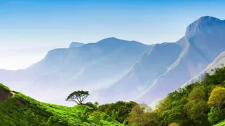 Munnar or Ooty: Finding the Right South Indian Mountain Getaway for November