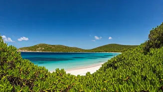 Unveiling Hidden Coastal Gems: 10 Peaceful Getaways in India