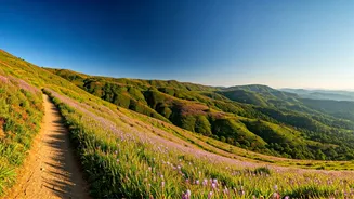 Related Stories banner