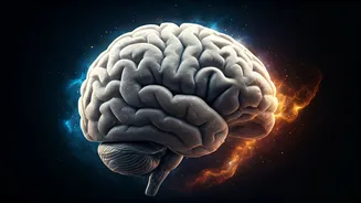 Vivid Dreams: Italian Study Reveals They Boost Sleep Refreshment