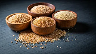 Better Grains Make Healthy Eating Feel Rooted