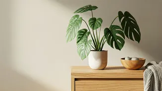 Homes Feel Better With A Touch Of Nature