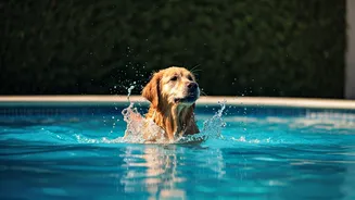 Young Dog Owners Flocking To Premium Cage-Free Pools This Weekend