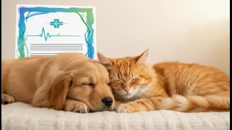 Pet Insurance May Help, But Exclusions And Limits Need Close Reading