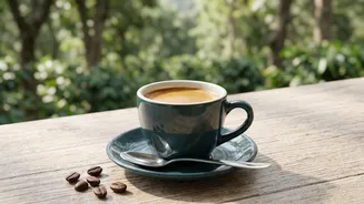 Why single-origin Arabica beans from Coorg provide rich full-bodied espresso shots for coffee enthusiasts