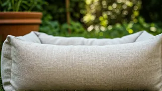 Top 5 Breathable Fabrics for Your Dog