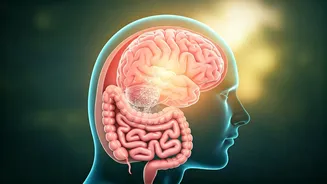 Sugary Drinks: Gut, Brain & Mood in Women