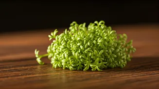 Garden Cress Seeds: 5 Health Boosts You Need!