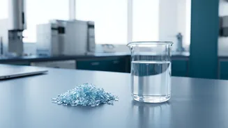 The Plastic-To-Food Process Starts By Separating PET Into Smaller Molecules