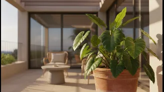 Cooling Plants Make Terrace Corners More Human