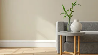 Bring Hydration And Simplicity Into Minimal Zen Home Frameworks