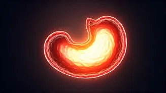 Related Stories banner