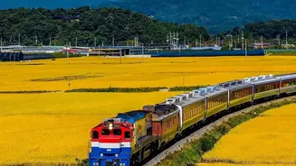 A Practical Guide to Booking Train Travel for the September Festivals