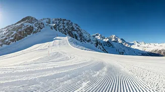 Related Stories banner