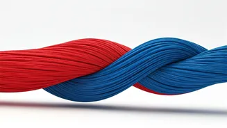 Navigating Love Across Cultures: A Guide