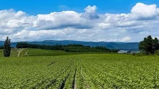 What New Earth Observation Systems Mean For Crop Monitoring