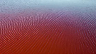 A World Tour of Pink Lakes: Breathtaking Hues