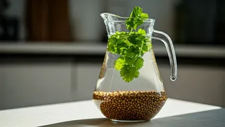 Eliminate Seasonal Stomach Bloating via Morning Coriander Seed Water Infusions