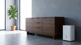 How to Protect Furniture and Belongings From Persistent Indoor Dampness