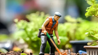 September Gardening In India: The Latest Position And Its Meaning