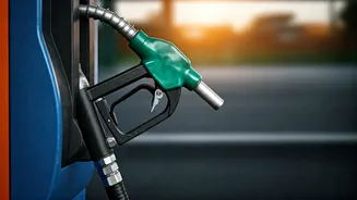 October's Economic Roundup: Key Trends Shaping India's Markets