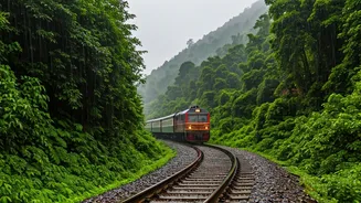 Rain Train Trips Have Entered Travel Planning