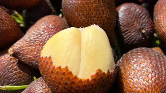 Snake fruit or langsat: Which is more nutritious?